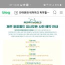 퍼피월드 이미지