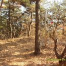 사일온천 이미지