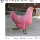한잔술상회 | 눈까지 시원해지는 풍경, <단양패러캠핑장>