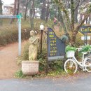 카페송림 이미지