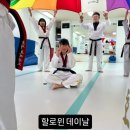 호계 효태권도장 이미지