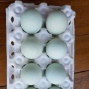 청계1로 이미지