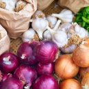 농업회사법인하나주식회사 이미지