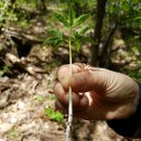 씨웰빙하우스 이미지