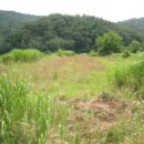 공성면 영오리 이미지