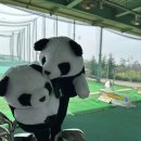 대불골프랜드 이미지