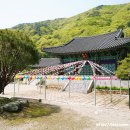 사나사(사찰 앞) 이미지