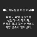 예뻐GYM