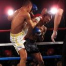 팀 드래곤 이미지