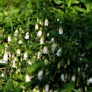 길소아청소년과의원 이미지