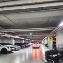 힐 휘트니스 | 광주 최대규모 운암동 헬스장 포레스힐피트니스 피티후기