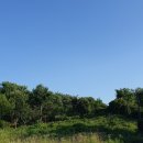 110헤이리 이미지