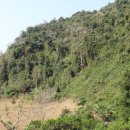 블루라군 이미지