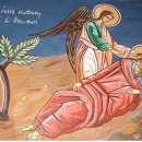 로뎀나무 아래 이미지