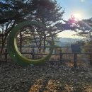 장승배기로 | [방문] 파주 무료 힐링 명소 - 율곡수목원