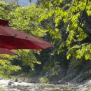 갯골산머루 민박 이미지