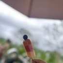 3월26일커피카페 | #7. 3월 신혼여행 발리 6일차 일정(울루와뚜사원,더웨스틴리조트우붓 후기,녜삐데이)