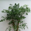 해피타임 이미지