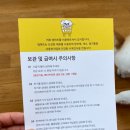 댕마트 네이버블로그