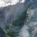 모두동물병원 이미지