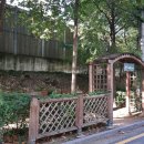 강남-163 이미지