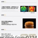 우수디자인연구소 | [팻랩] 팅팅 붓는 종아리붓기 관리!팻랩 지방연구소 브로멜라인 순환패치 후기
