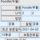송도동물병원 이미지