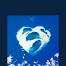 알로하오에 이미지