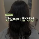 원(one) 미용실 | 합정역 미용실 "팜므제이 합정점" 후기 (+가격, 주차 정보 등)