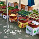 일산오일장 매월 3,8일 일산시장 먹거리 주차장 문산순대국
