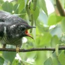 젊은그대 이미지