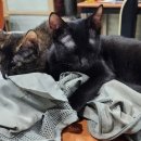 화승종합동물병원 이미지