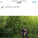 [W.5] 대전 웨딩 촬영 스튜디오 계약 후기 / 그레이스케일 정보 (플래너 없이 결혼준비) +제휴 업체...