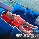 전담마크 - 원주시 | 세부 호핑투어 팁 아이랑 더마크호핑 후기