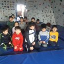 라이온킹 용인대 태권도장 이미지