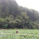 이원선사무소 이미지