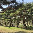 시산농장 이미지