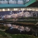 쩜순이네닭강정