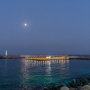 (주)해동활어 | 속초 횟집 [이모횟집] 신선한 회와 다양한 스끼다시가 맛있는 속초 오션뷰 맛집 장사항 횟집