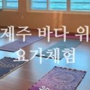 제주세사
