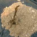 민들래농원 이미지