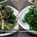 맛있는찬 Daum카페