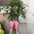 번창한의원 이미지