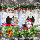 [겨울 특강] 크리스마스 리스 만들기 이미지