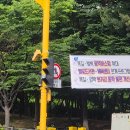 일류수학폴과학학원 | 2026 6월 (1)