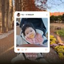 아가페 | 익산 아가페정원 단풍구경 후기