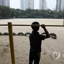 분당초등학교 이미지