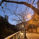 오말(OMAR) 이미지