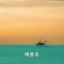 해용호