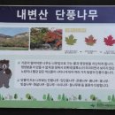 영광종합병원 삼거리 1 | 부안 내변산 직소폭포(내변산분소~실상사~자연보호헌장탑~직소보~선녀탕~직소폭포)탐방